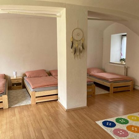 Prijemny Apartman Se Zahradou Ostresany Zewnętrze zdjęcie