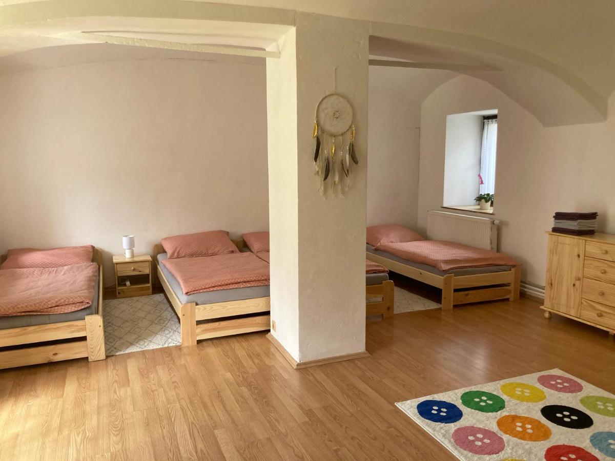 Prijemny Apartman Se Zahradou Ostresany Zewnętrze zdjęcie