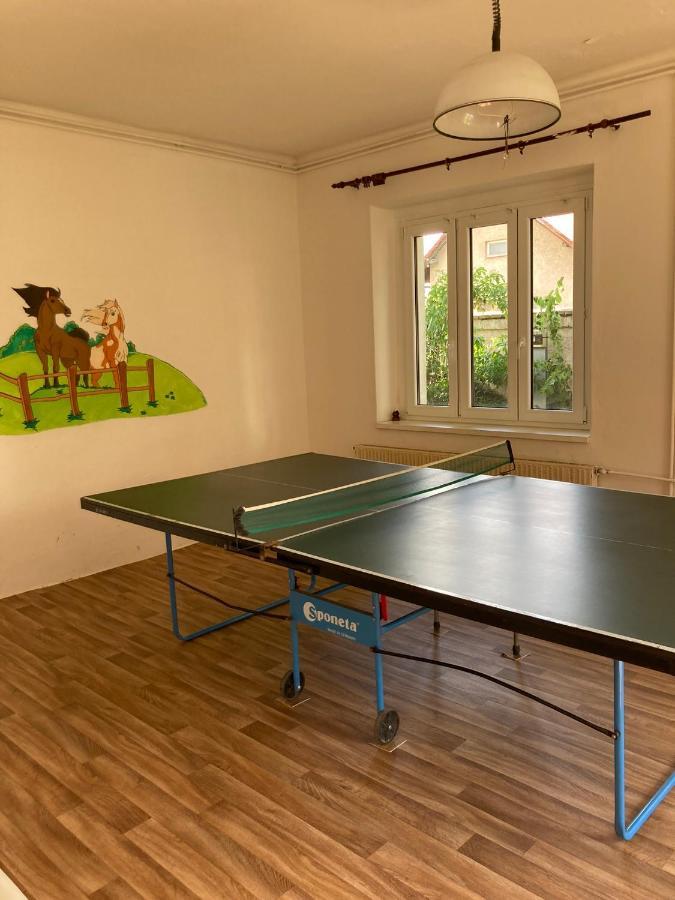 Prijemny Apartman Se Zahradou Ostresany Zewnętrze zdjęcie